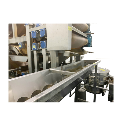 Full Automatic Mango Processing Line 50 Tons / Hour