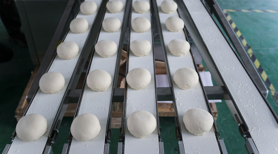 Quality Tortilla Production Line With Adjustable Speed And Stainless Steel Construction