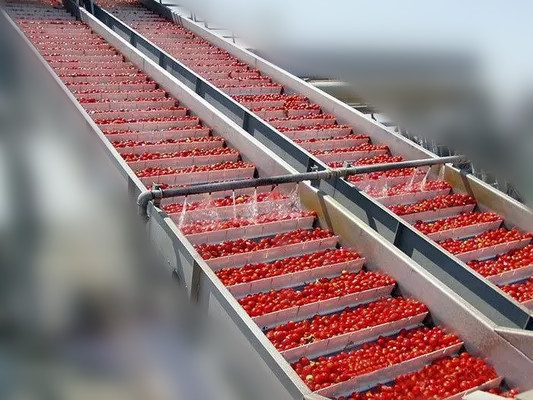 25t/h Automatic Tomato Paste Manufacturing Machine With 150kw Fruit Processing Line