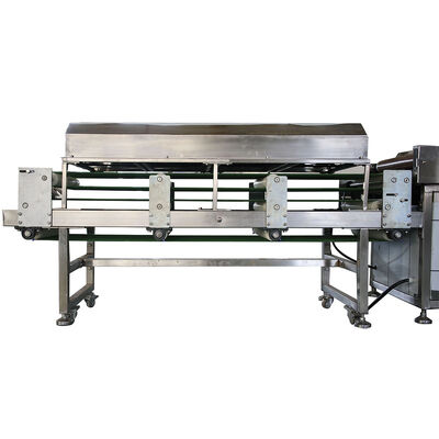 50hz Tortilla Production Line Equipped  for Tortilla Manufacturing in Food Processing Plants