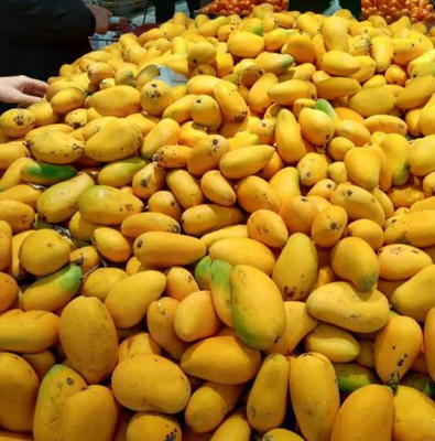 Automatic Mango Puree Production Line 3t Per Hour High Capacity
