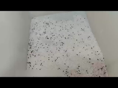 فارز لون صغير