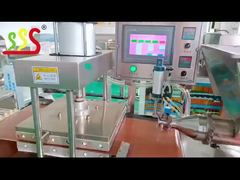 خط انتاج التورتيلا